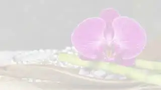 SHS  News 30 June 2023