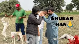 Shukar hn 🙏Gultier 🐕 Dog mil gya