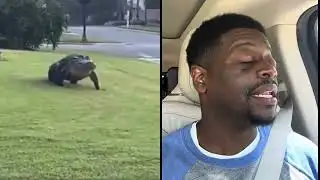 Shuler King - It’s Time To Leave Florida