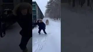 Siberian Tiger Attacks Train Worker 😱🐅 | 시베리아 호랑이 공격 | 西伯利亚虎袭击铁路工人