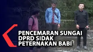 Sidak Peternakan Babi DPRD Temukan Bangkai yang di Buang