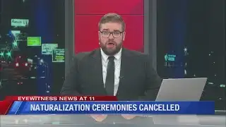 Siena Poll: Hochul Still Leads Stefanik