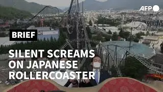 Silent screams: Japan rollercoaster virus guide wins hearts | AFP