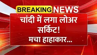 Silver hits lower circuit, causing panic! Silver Price | Share Market News