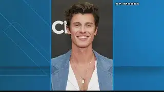 Singer Shawn Mendes has canceled his entire tour