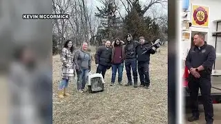 Sioux City dog returns home