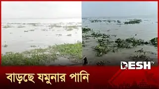 সিরাজগঞ্জে টানা বৃষ্টিতে যমুনা নদীর পানি ক্রমেই বাড়ছে | Sirajganj | Flood | Desh TV
