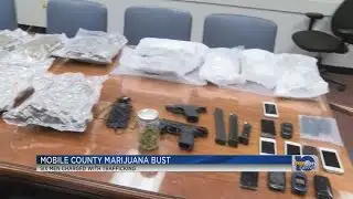 Six arrested for marijuana trafficking