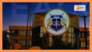 Six Busia officials arrested over KSh 1.4B tender scandal