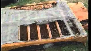 Six escape house fire without even a scratch