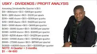 SKYWAY PROFIT & DIVIDEND ANALYSIS   BY ALEX N  GEORGE