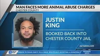 SLED arrests Chester County man in connection with organized dogfighting ring
