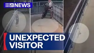 Slippery passenger sparks panic near train platform | 9 News Australia