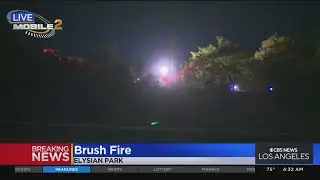 Small brushfire breaks out near Dodger Stadium; quickly contained by firefighters