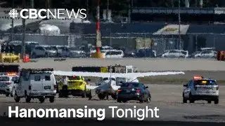 Small plane allegedly 