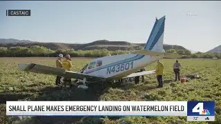 Small plane makes emergency landing on watermelon field in Valencia