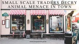 Small scale traders decry animal menace in town