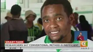 SMART FARM:KALRO boosts cassava propagation with hydroponics