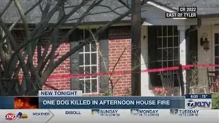 Smith County crews respond to house fire on CR 2202