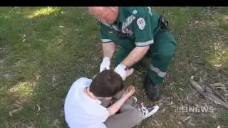 Snake Alert | 9 News Adelaide