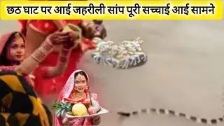 Snake suddenly appeared at Chhath Puja Ghat | Munger Star News |