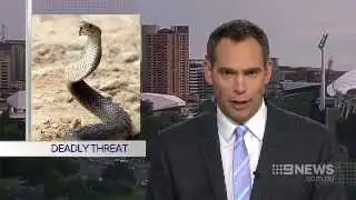 Snake Warning | 9 News Adelaide