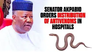 Snakebite Tragedy Sparks Senate Action, PDP Crisis Deepens