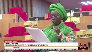 Snakebite Tragedy Sparks Senate Call for Life-Saving Antidotes Nationwide