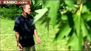 Snakes on a plain: planned habitat upsets neighbors