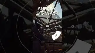Sneaky big wasps in ARC Raiders