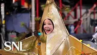 SNL Host Melissa McCarthy Is the Rockefeller Center Christmas Tree Star