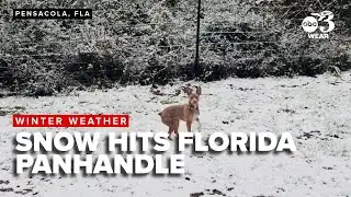 Snow hits Northwest Florida, Alabama coast for second straight year