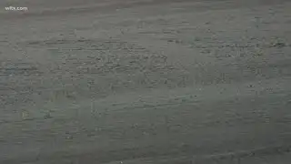 Snow impacts in Lexington County