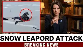 Snow Leopard Attack: Why You Should NEVER Take a Selfie with a Predator