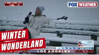 Snow Starts To Accumulate At Central Park