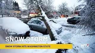 Snow Storm Hits Washington State