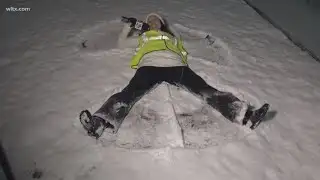 Snowfall in Lexington County