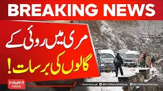 Snowfall in Murree: tourist rush increases again | Hum News | Pakistan