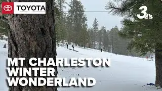 Snowfall transforms Mount Charleston into a winter wonderland