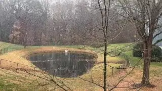 Snowflakes falling down in Greensboro