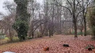 Snowflakes falling down in King