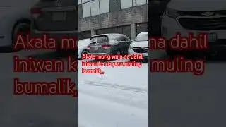 Snowstorm in Springtime