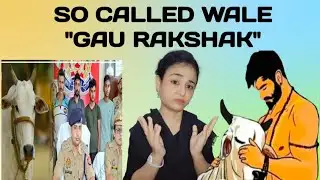 So Called Wale Gau Rakshak |Hate Mongers| |Propaganda| |Gau Rakshak|