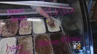 Soaring Vanilla Prices Creating Struggle For Ice Cream Shops