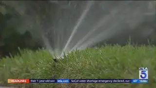SoCal water shortage emergency declared, outdoor watering restricted