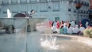 Sofia Carson_ Insandouts_of Sofia Carson ( part one)_2017