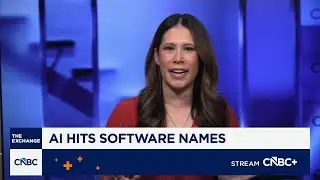 Software stocks show vulnerability to AI