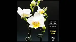 SolarFlow - Springtime (Original Mix)