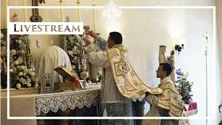 Solemn High Mass - Third Sunday after Epiphany - 1/24/26