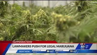 Some Indiana lawmakers plan to introduce marijuana legislation this session